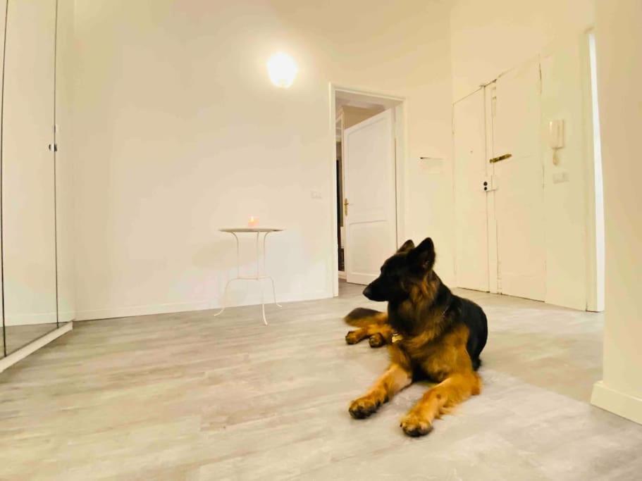 Mamisa Rome, Appartamento Con Parcheggio Privato E Gratuito 外观 照片